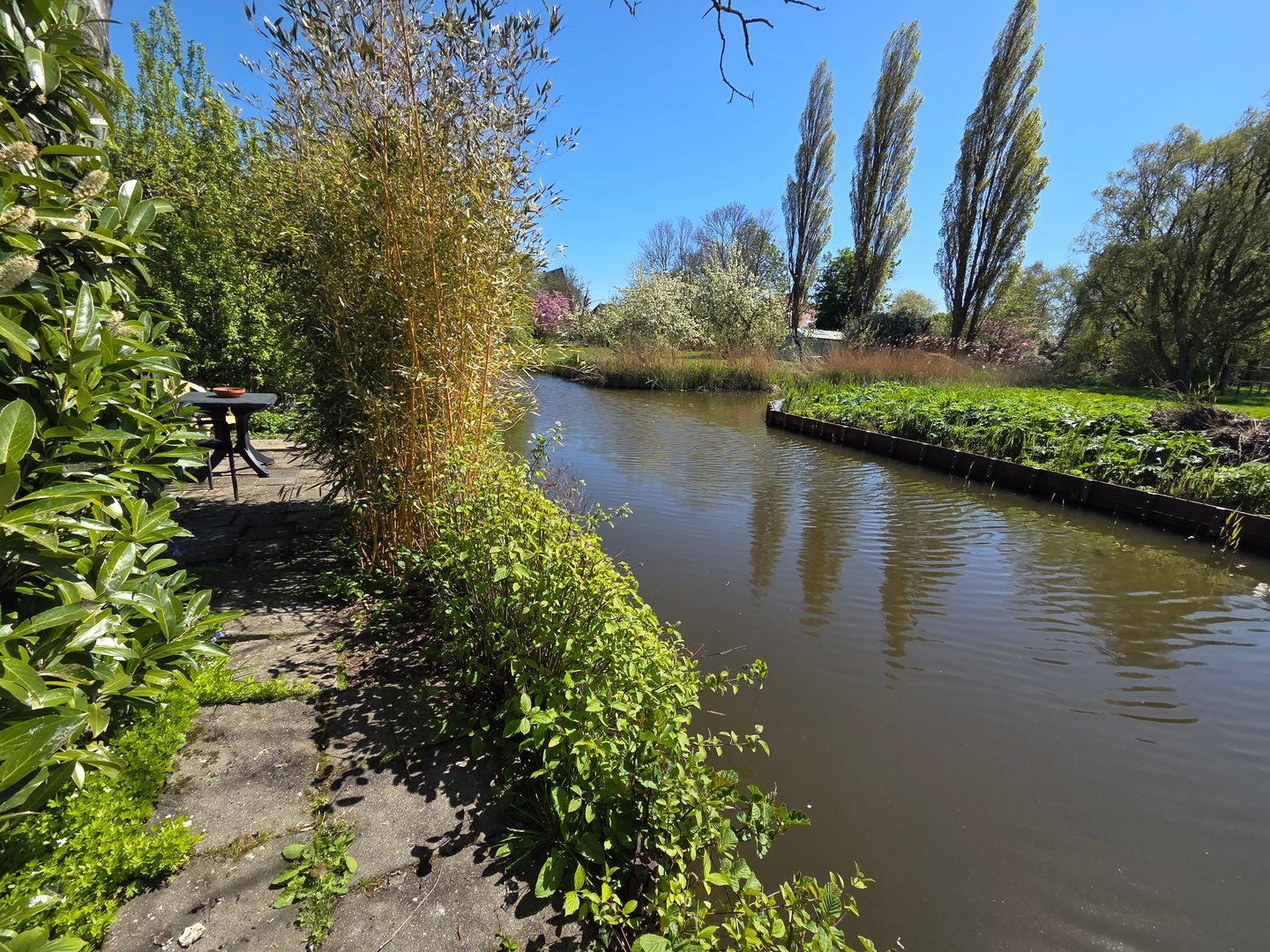 Foto 40 van Dijkweg 181