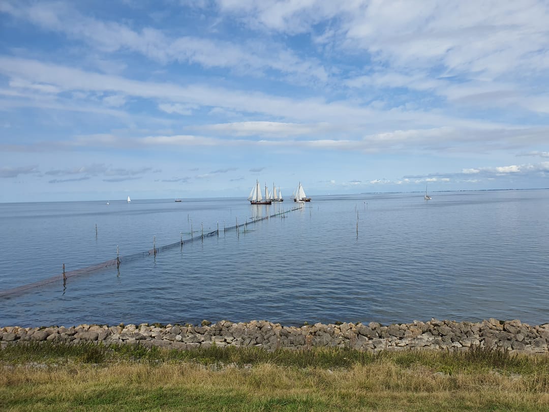 Foto 47 van Dijkweg 181