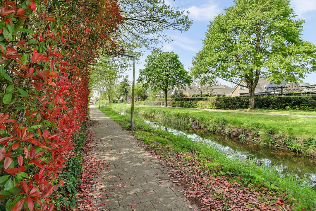 Foto 46 van Asserlaan 11