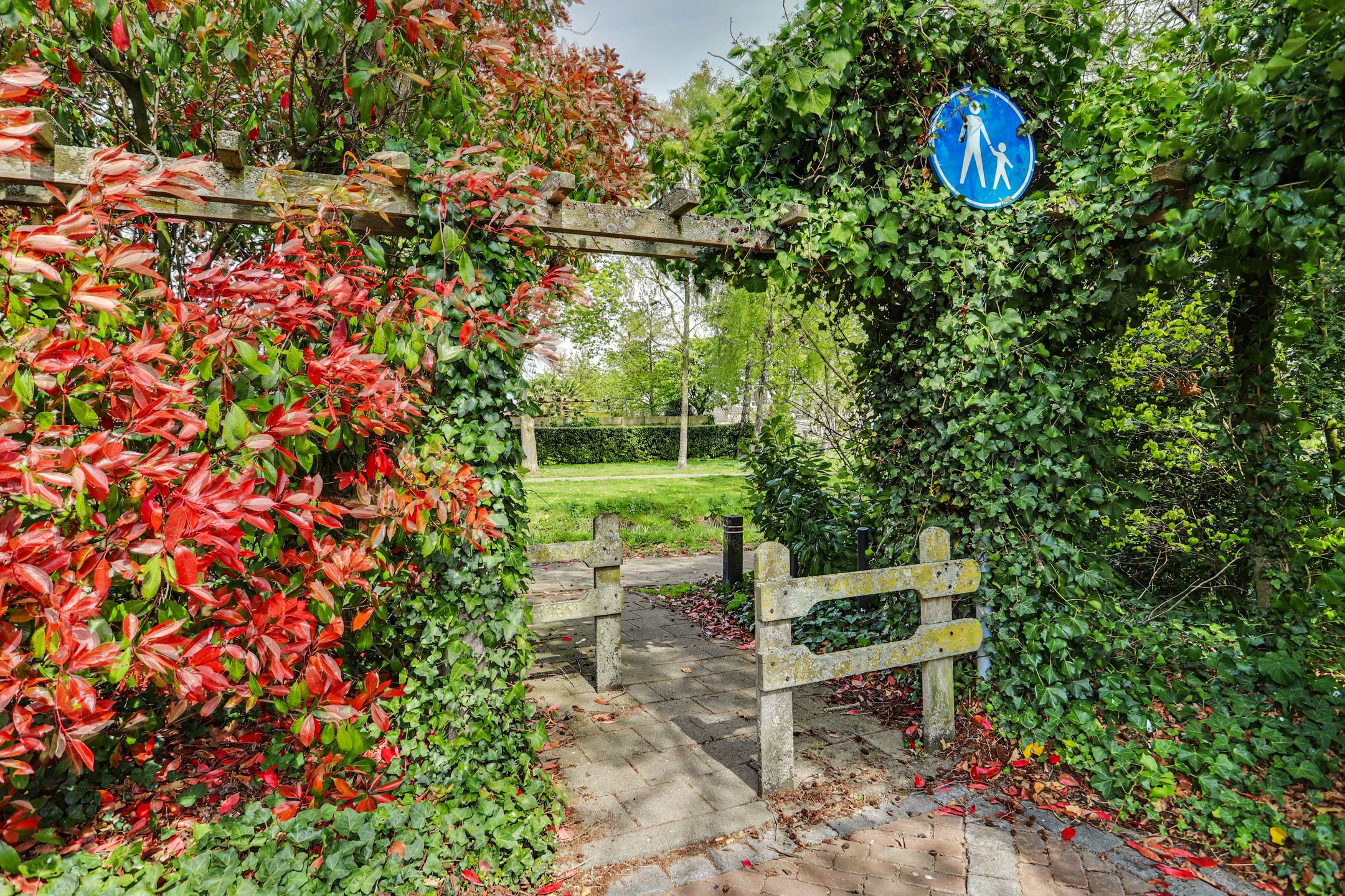 Foto 45 van Asserlaan 11