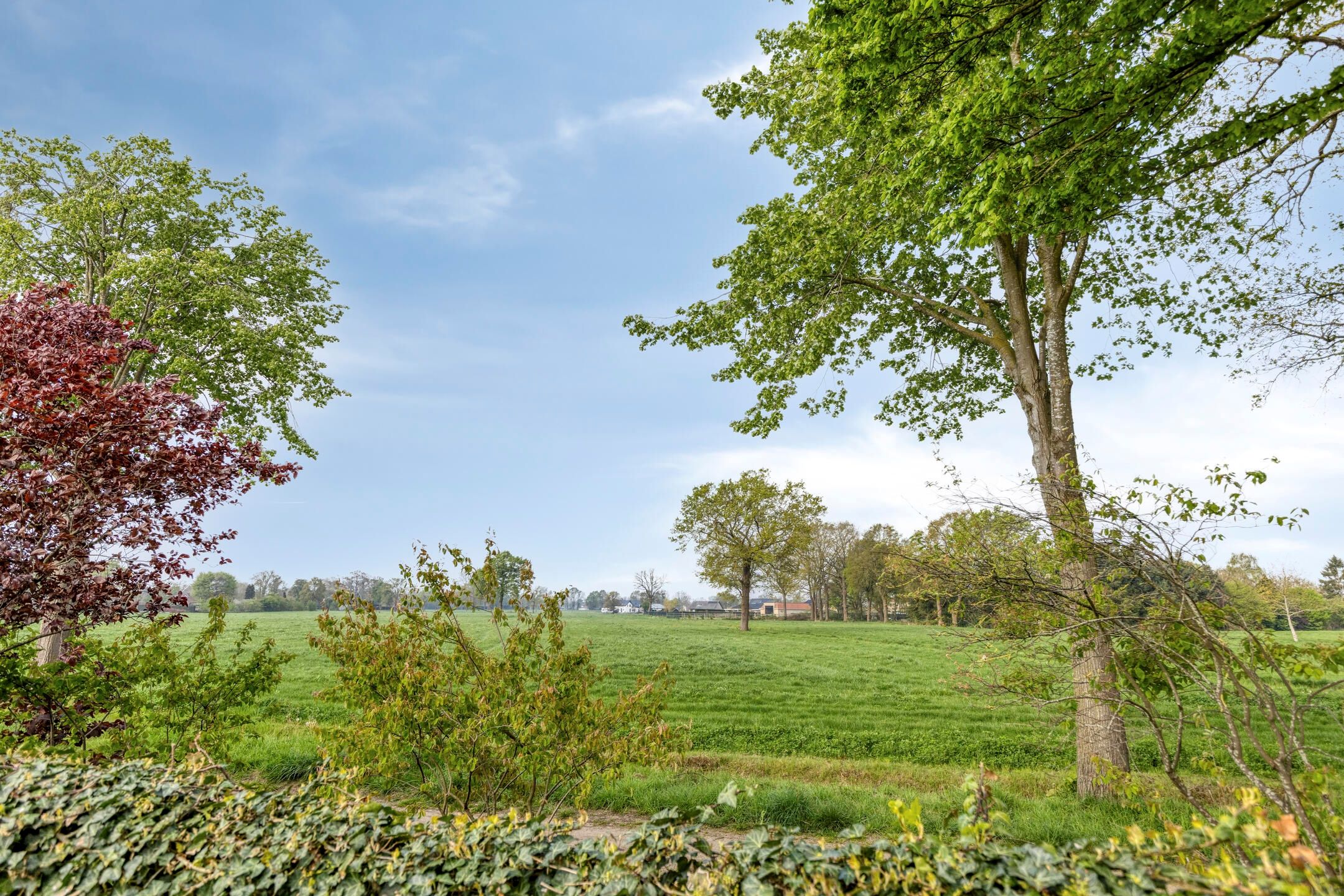 Foto 33 van De Smeelen 6