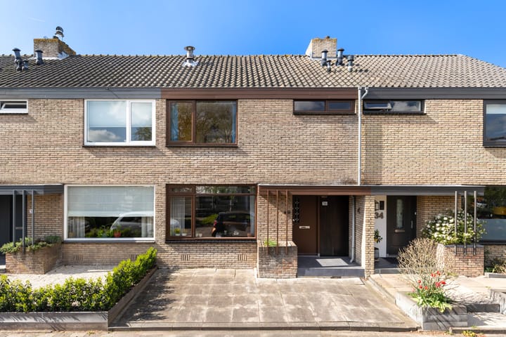 Andante 36 main image