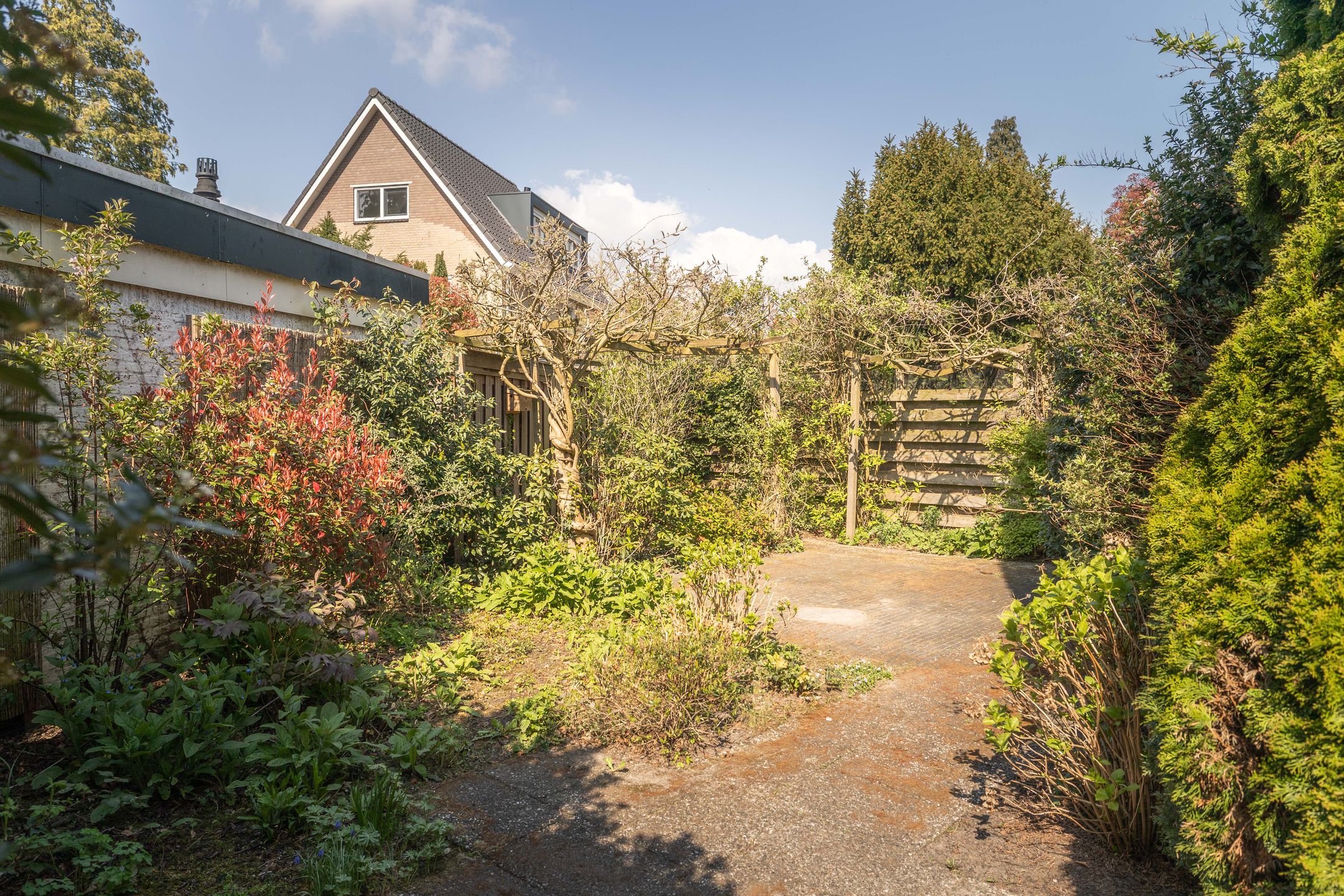 Photo 30 of Robert Kochlaan 3