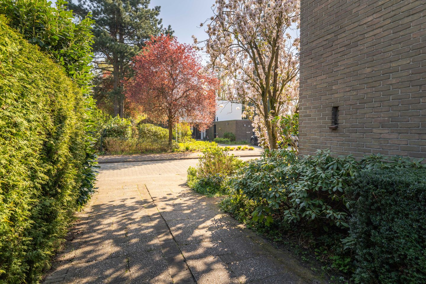 Photo 35 of Robert Kochlaan 3