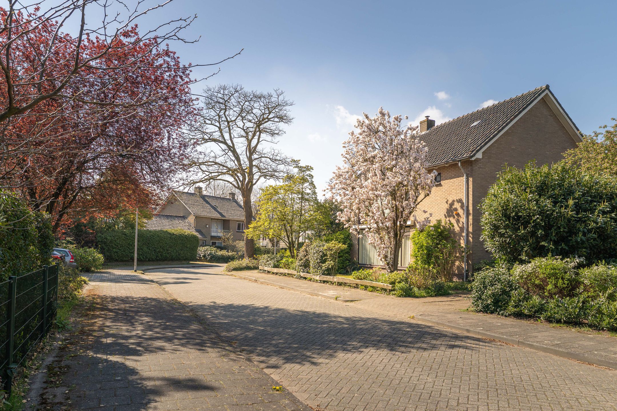 Photo 39 of Robert Kochlaan 3