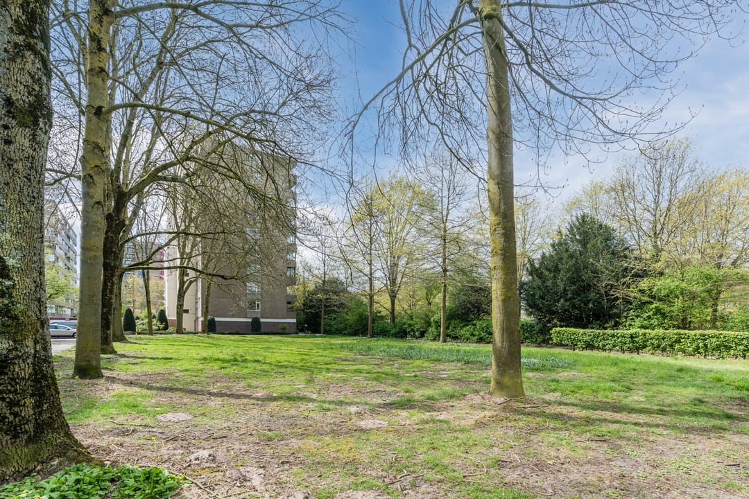 Photo 38 of Venuslaan 383-A