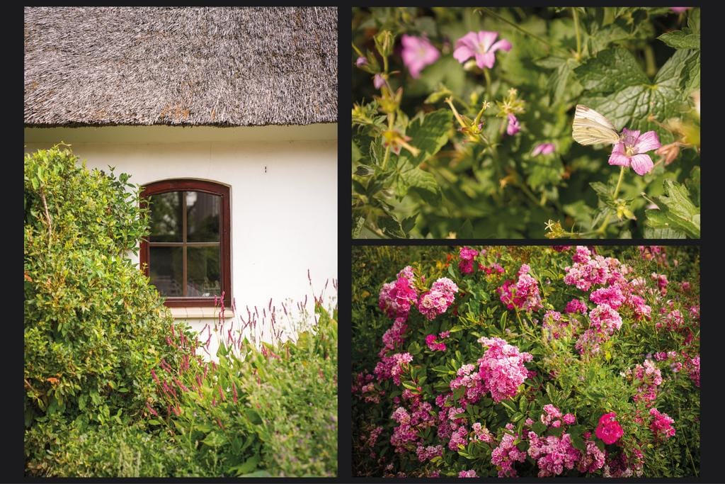 Foto 56 van Viaductstraat 46