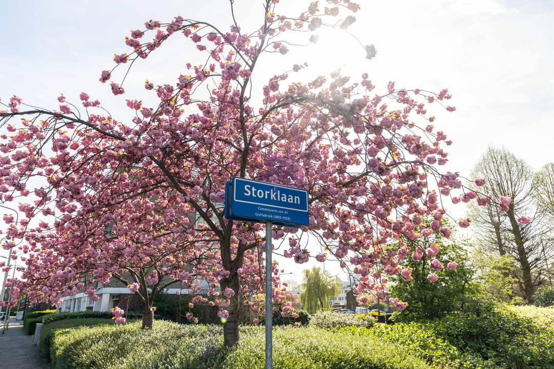 Foto 37 van Storklaan 27