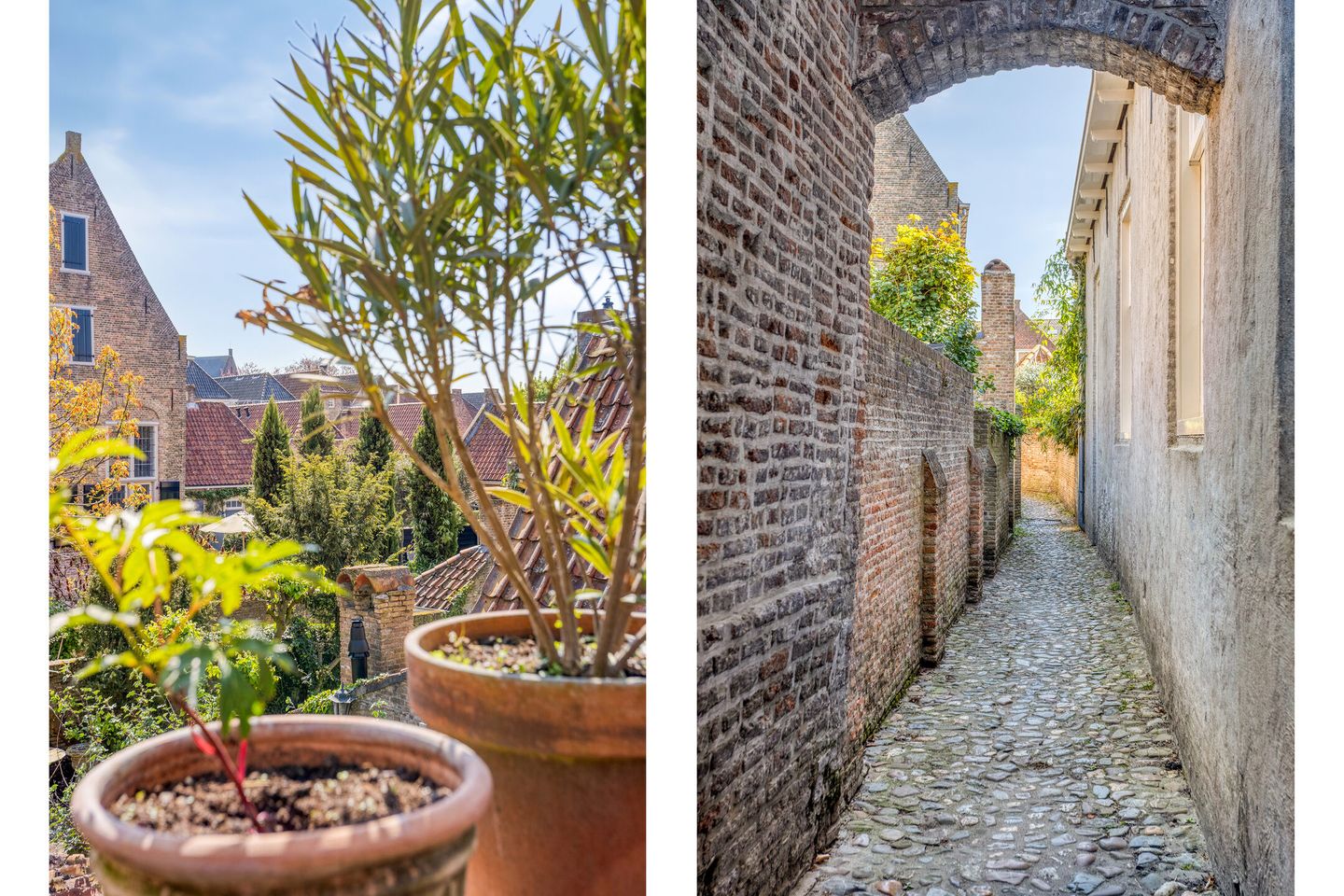 Foto 4 van Wijksestraat 44