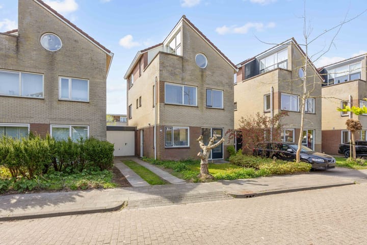 Zwanebloem 26 main image