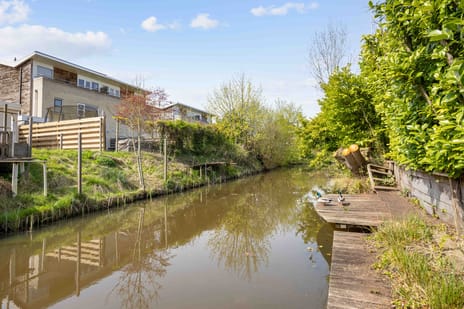 Zwanebloem 26 secondary image