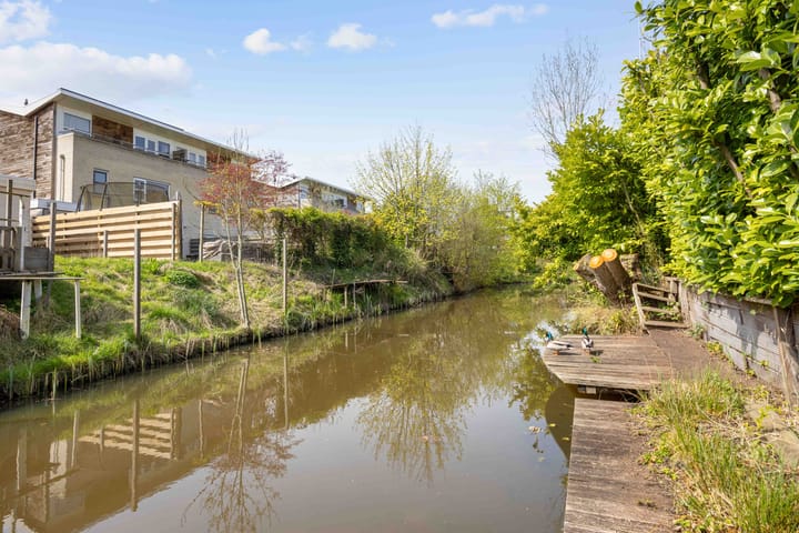 Foto 2 van Zwanebloem 26