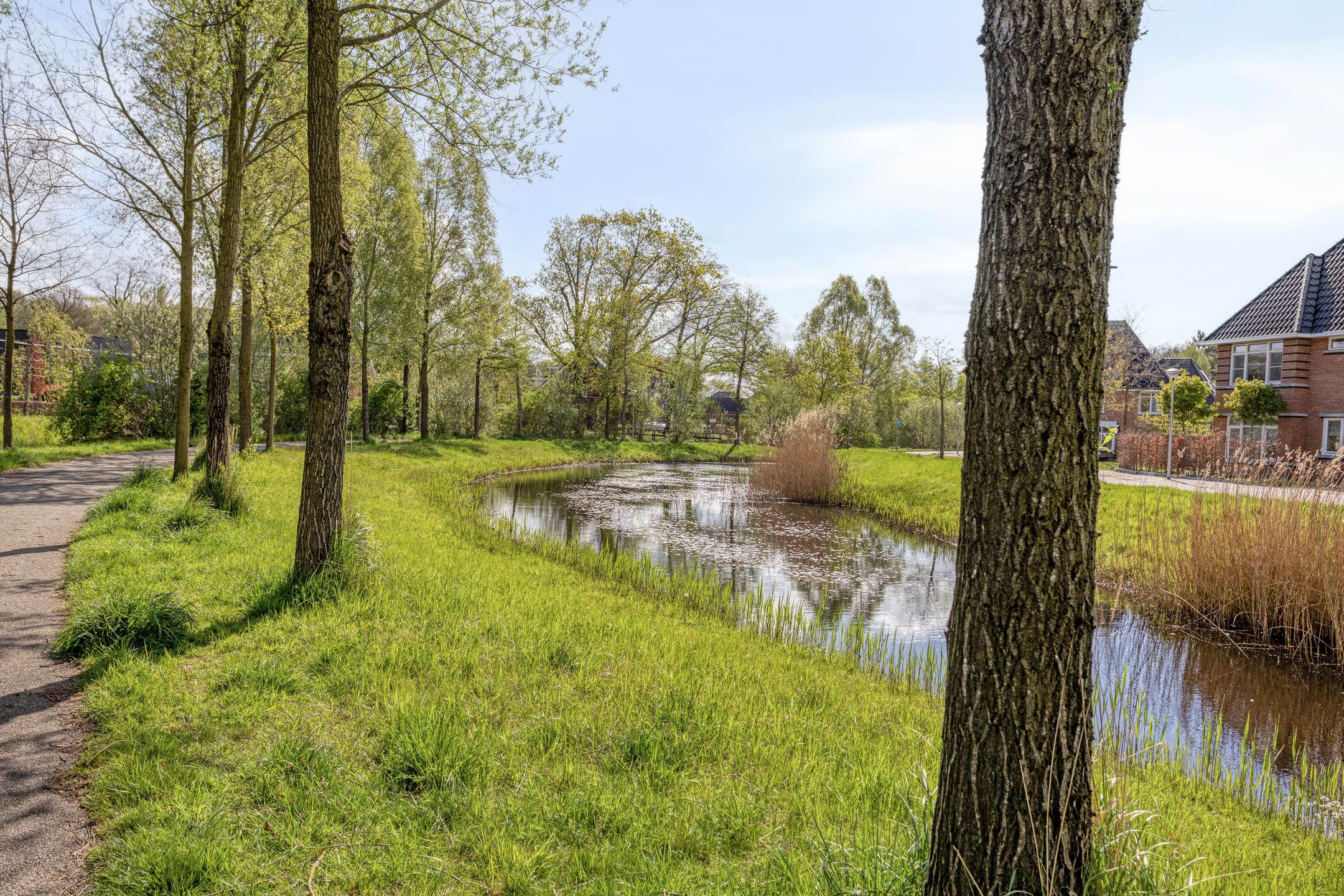 Foto 48 van Boekelose Stoomblekerij 113