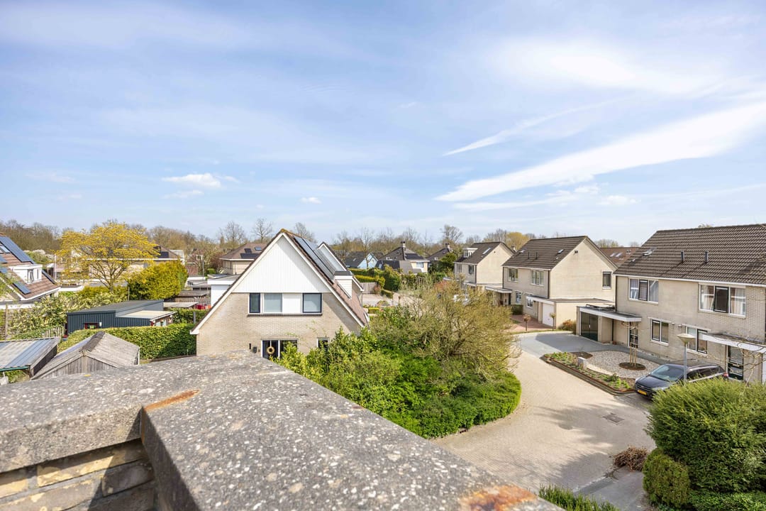 Foto 37 van Zwanebloem 26