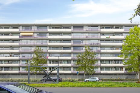 Hart van Brabantlaan thumbnail