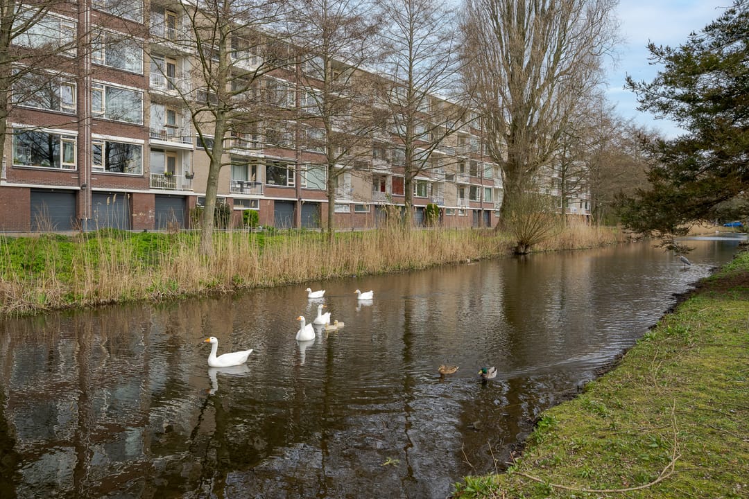 Foto 37 van Mahlerstraat 20