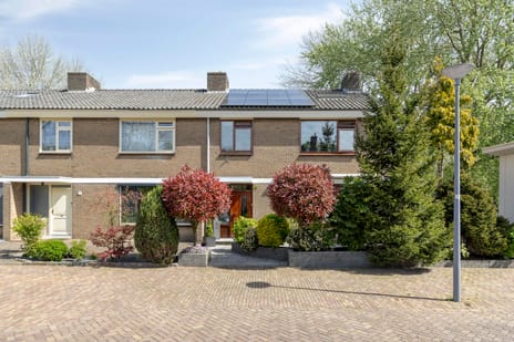 Arubaplein 28 secondary image