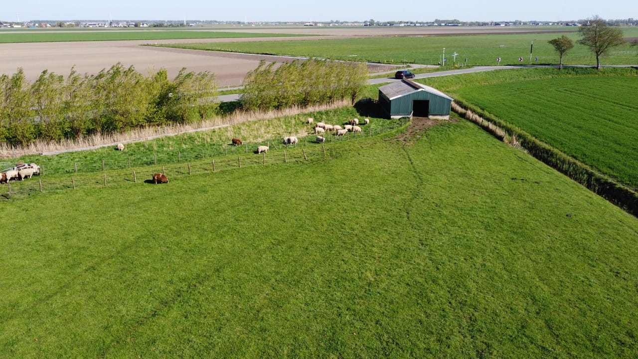 Gelderswoudseweg 1-C - Gelderswoude - Afbeelding 6