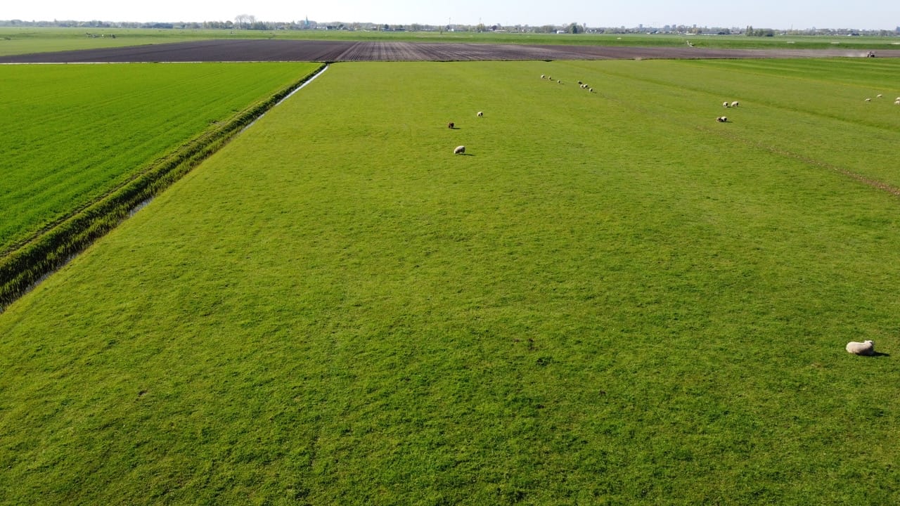 Gelderswoudseweg 1-C - Gelderswoude - Afbeelding 5