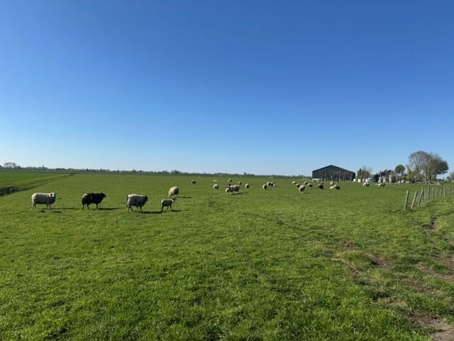 Gelderswoudseweg 1-C - Gelderswoude - Afbeelding 7