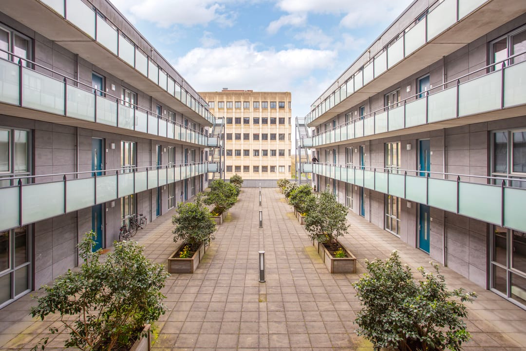 Foto 28 van Safariweg 229