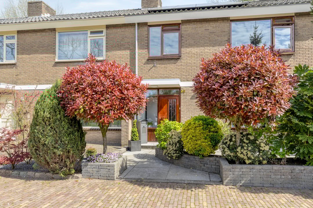 Foto 8 van Arubaplein 28