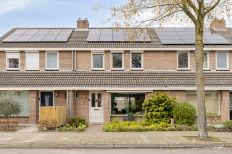 Cahorslaan thumbnail