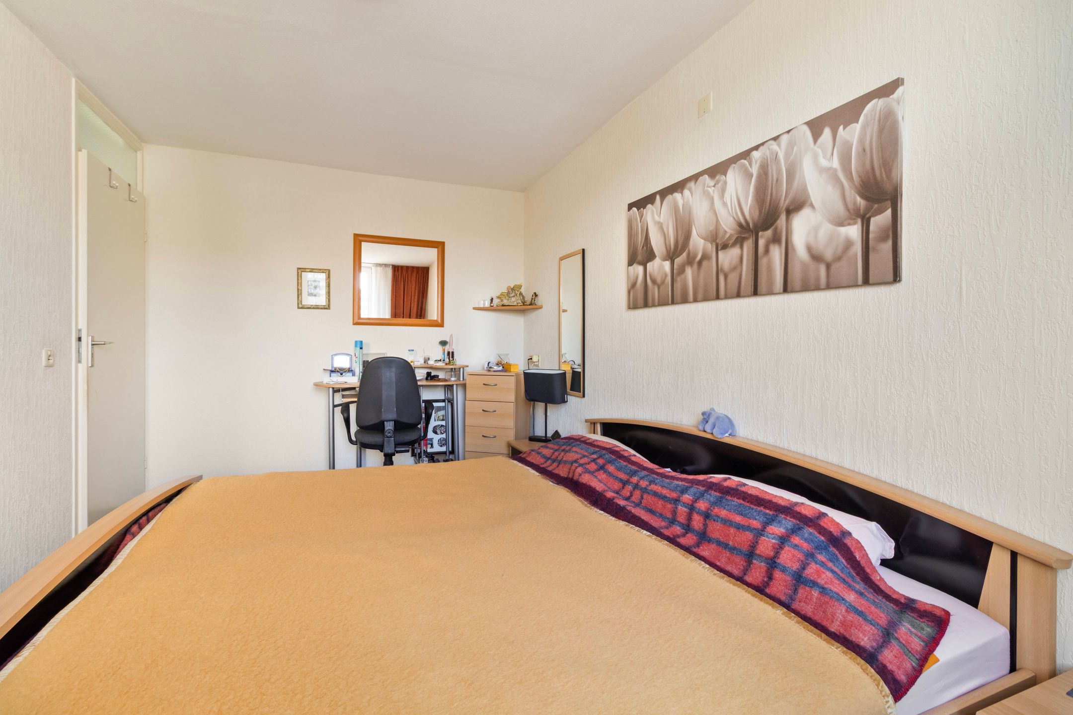 Foto 24 van Steenkoolstraat 25