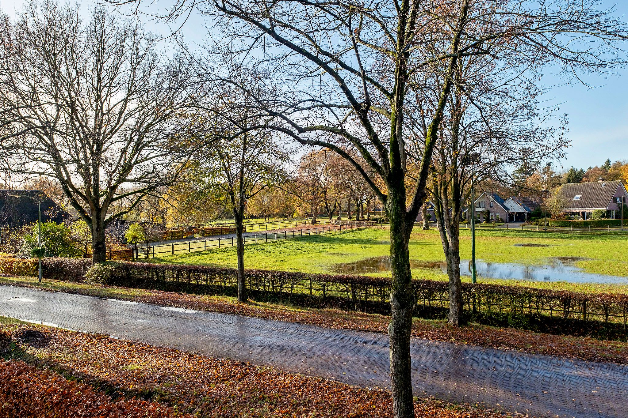 Foto 36 van Dwarsweg 1