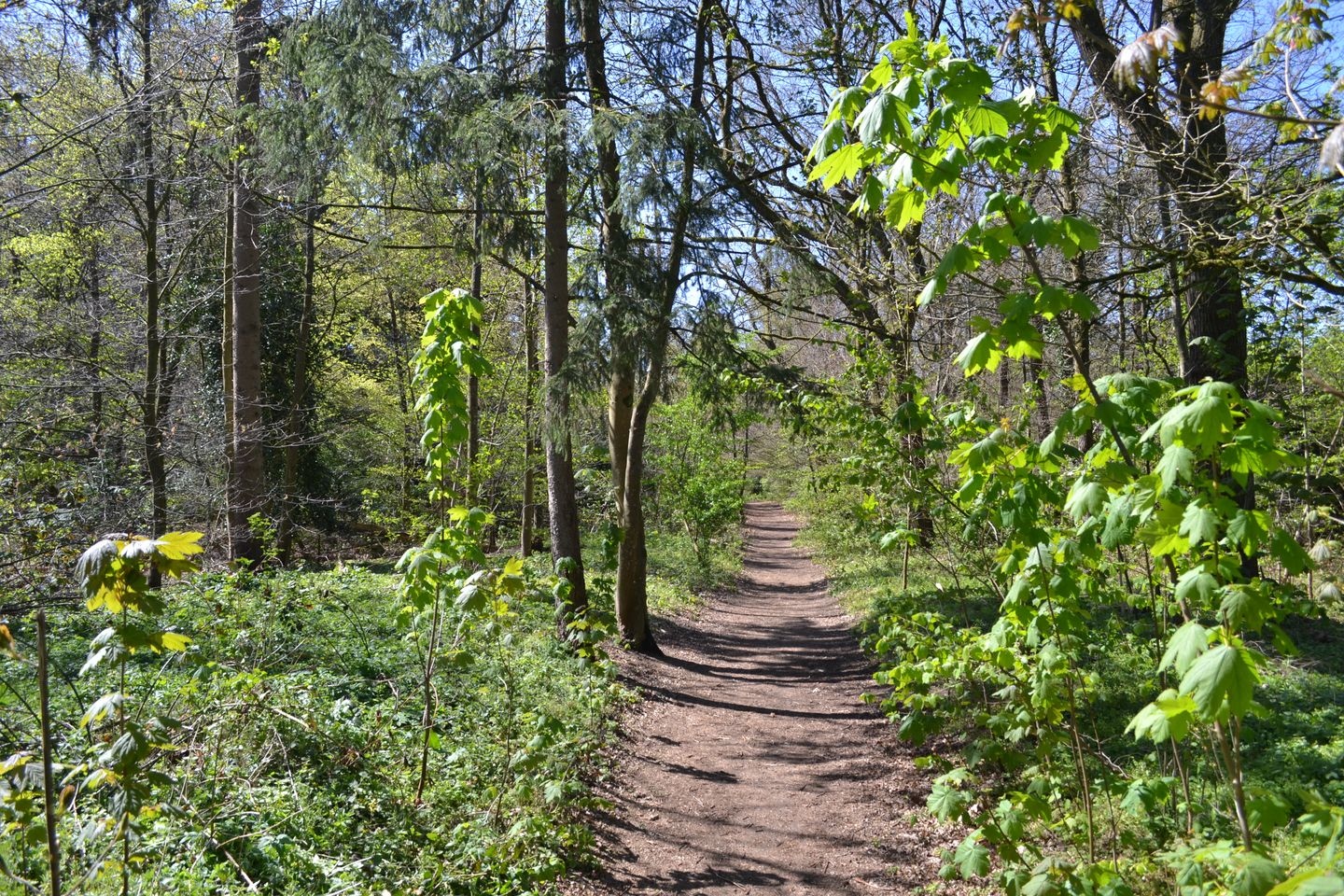Foto 40 van De Beaufortweg 8
