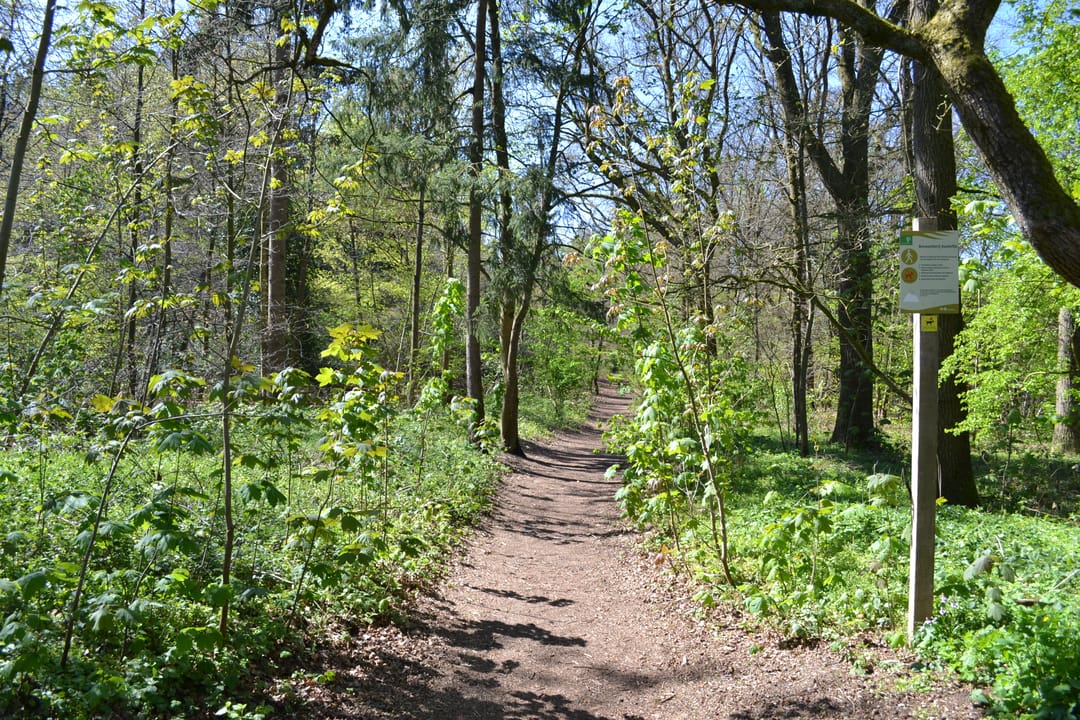 Foto 41 van De Beaufortweg 8
