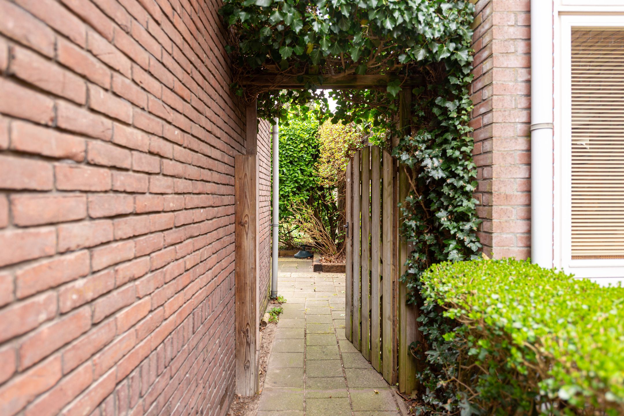 Foto 39 van Laarmanstraat 27