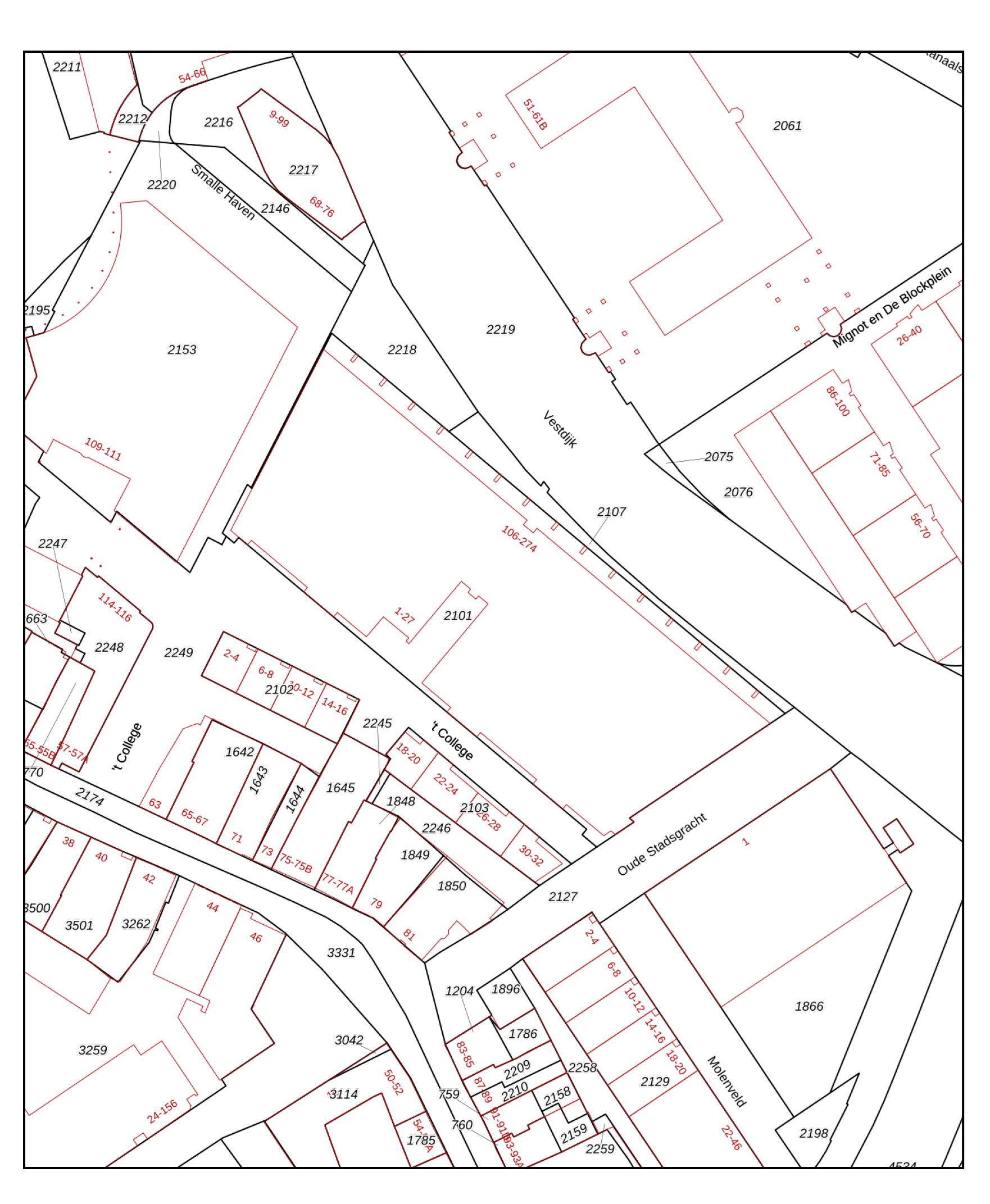 Foto 54 van 't College 20
