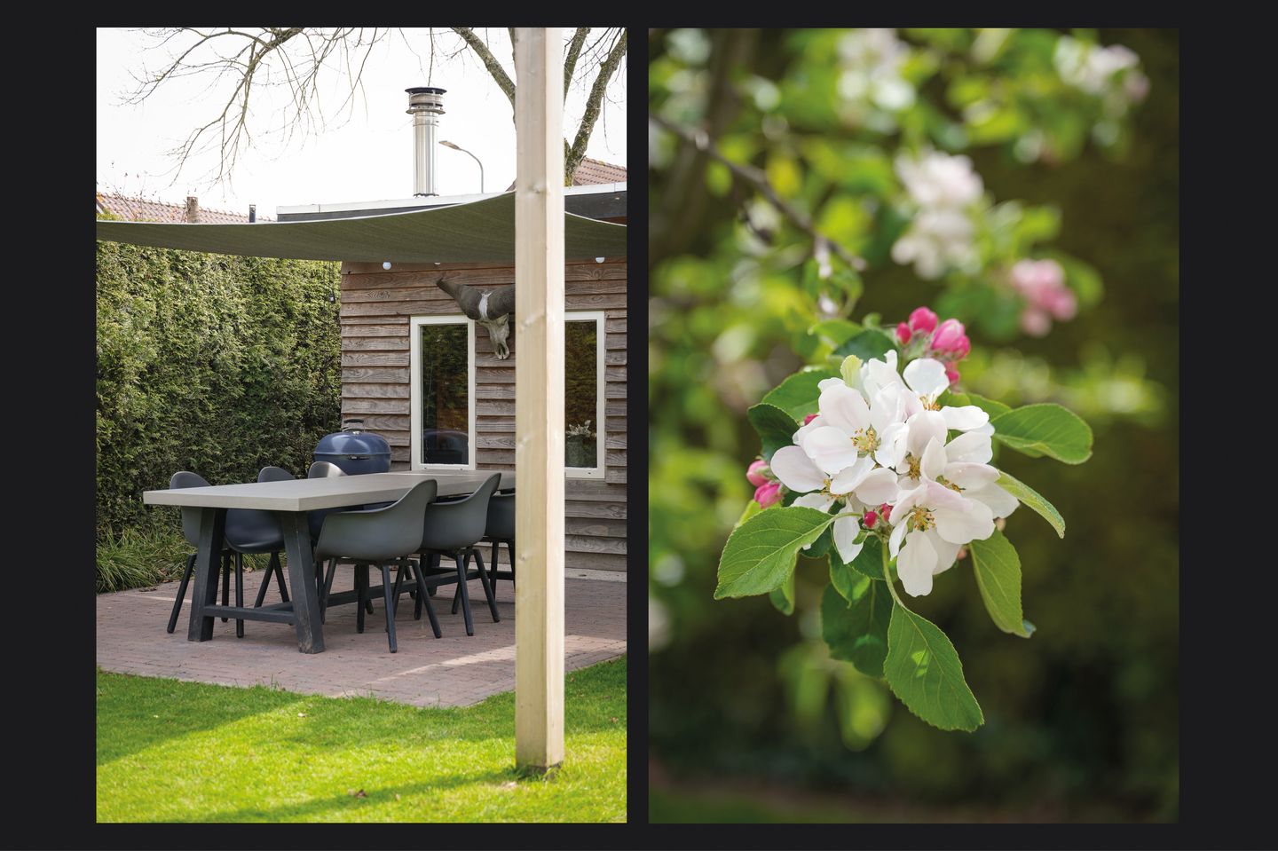 Foto 49 van Middendam 12