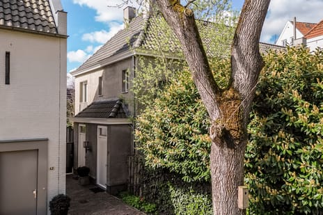 Wijngaardhof thumbnail