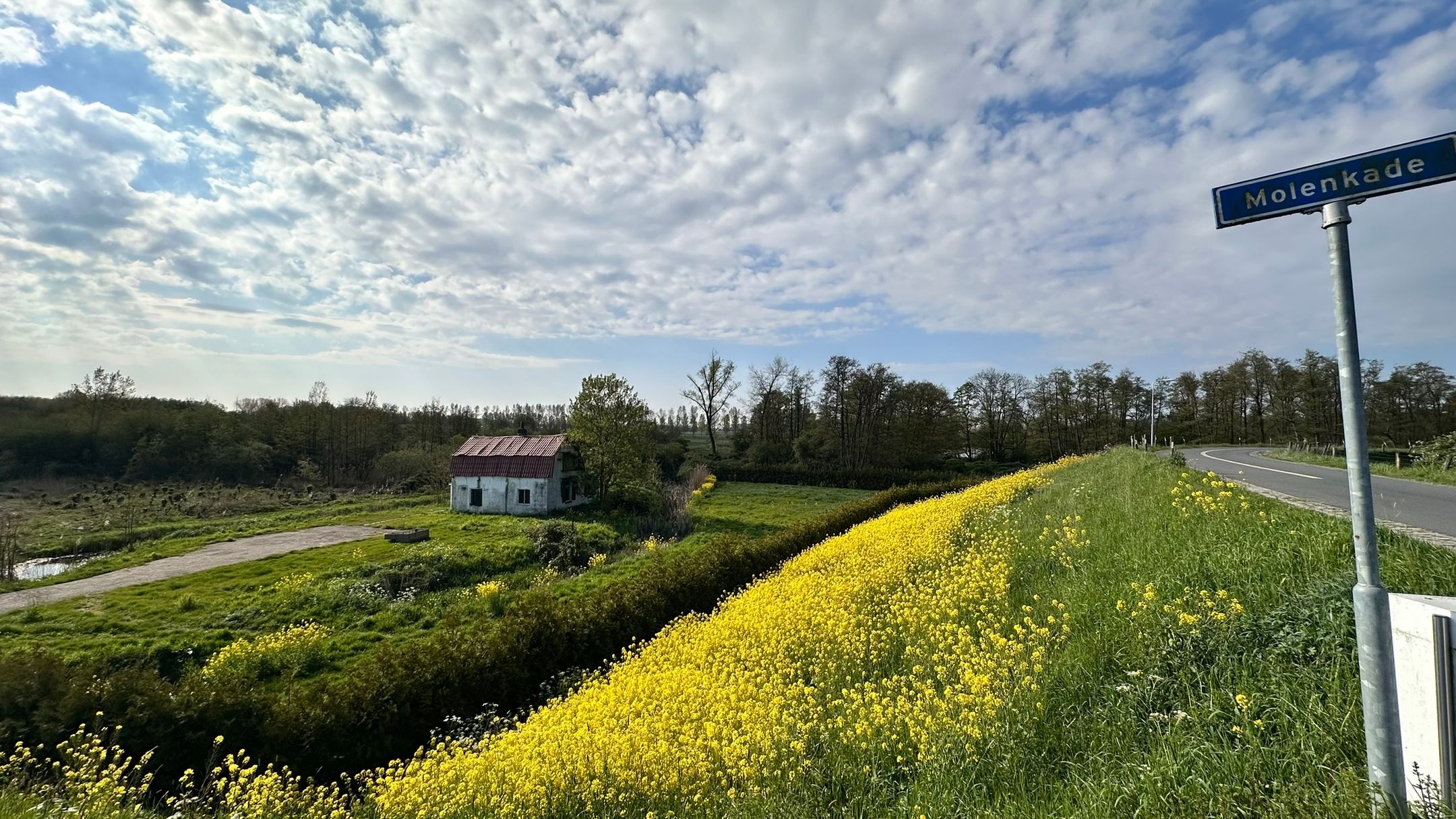 Foto 21 van Molenkade 4