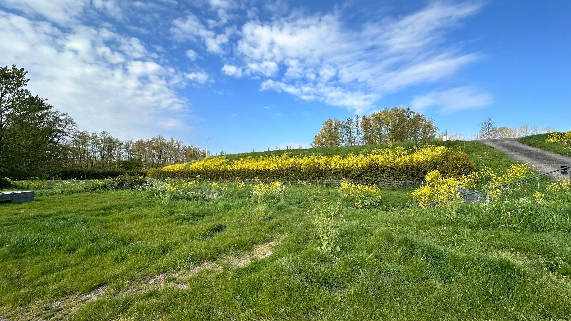 Foto 24 van Molenkade 4