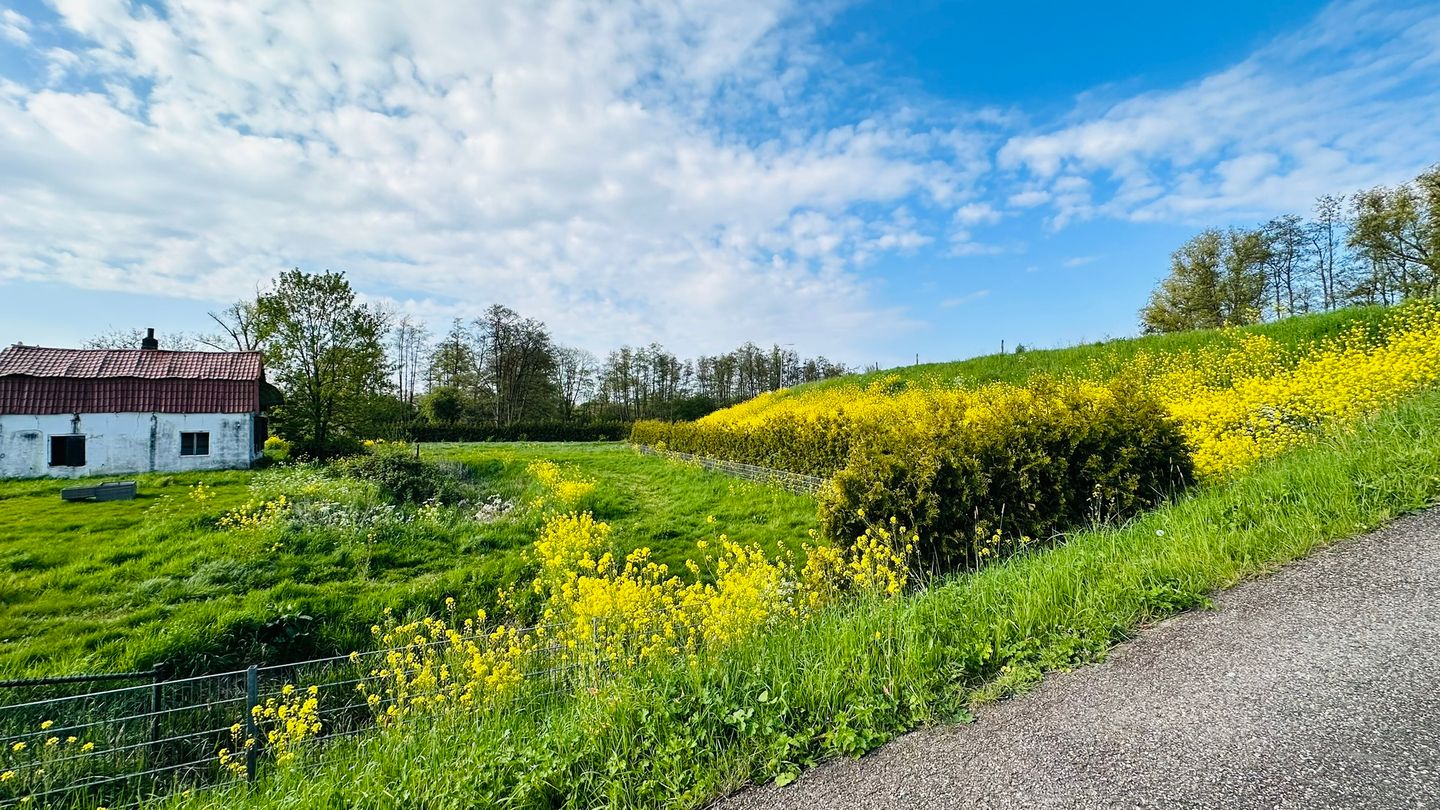 Foto 34 van Molenkade 4