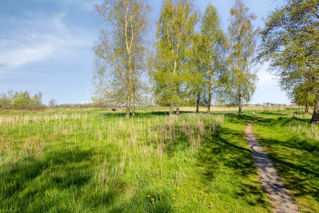 Foto 37 van Parnassia 21