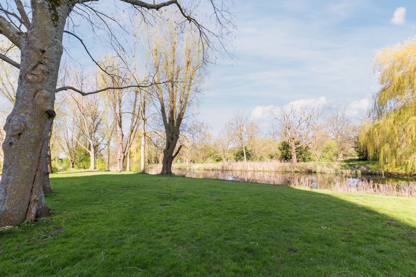 Foto 5 van Nijenburg 25