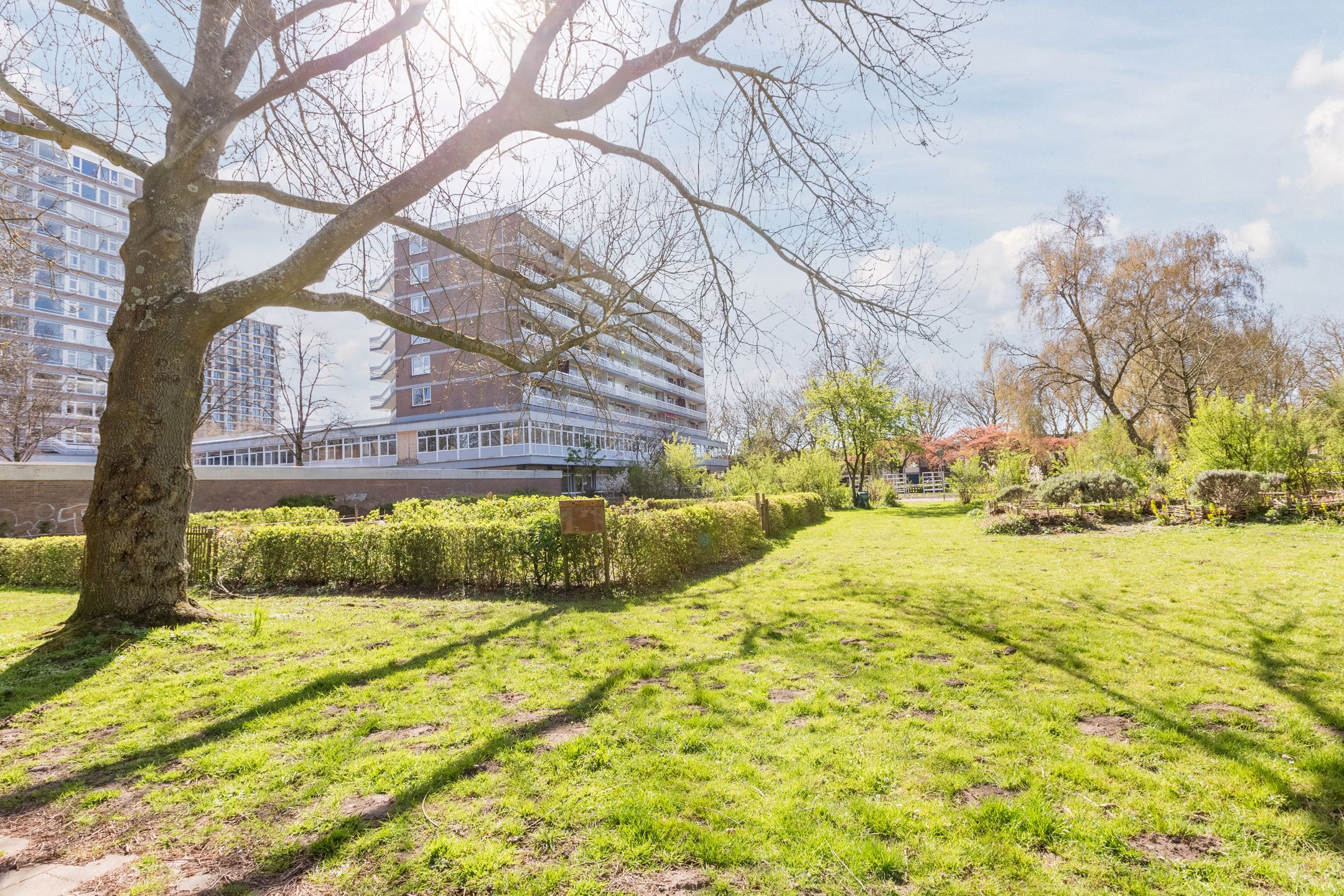 Foto 3 van Nijenburg 25