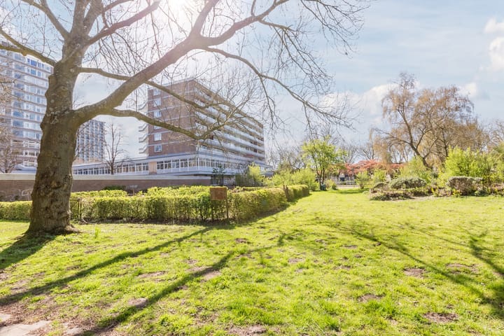 Foto 3 van Nijenburg 25