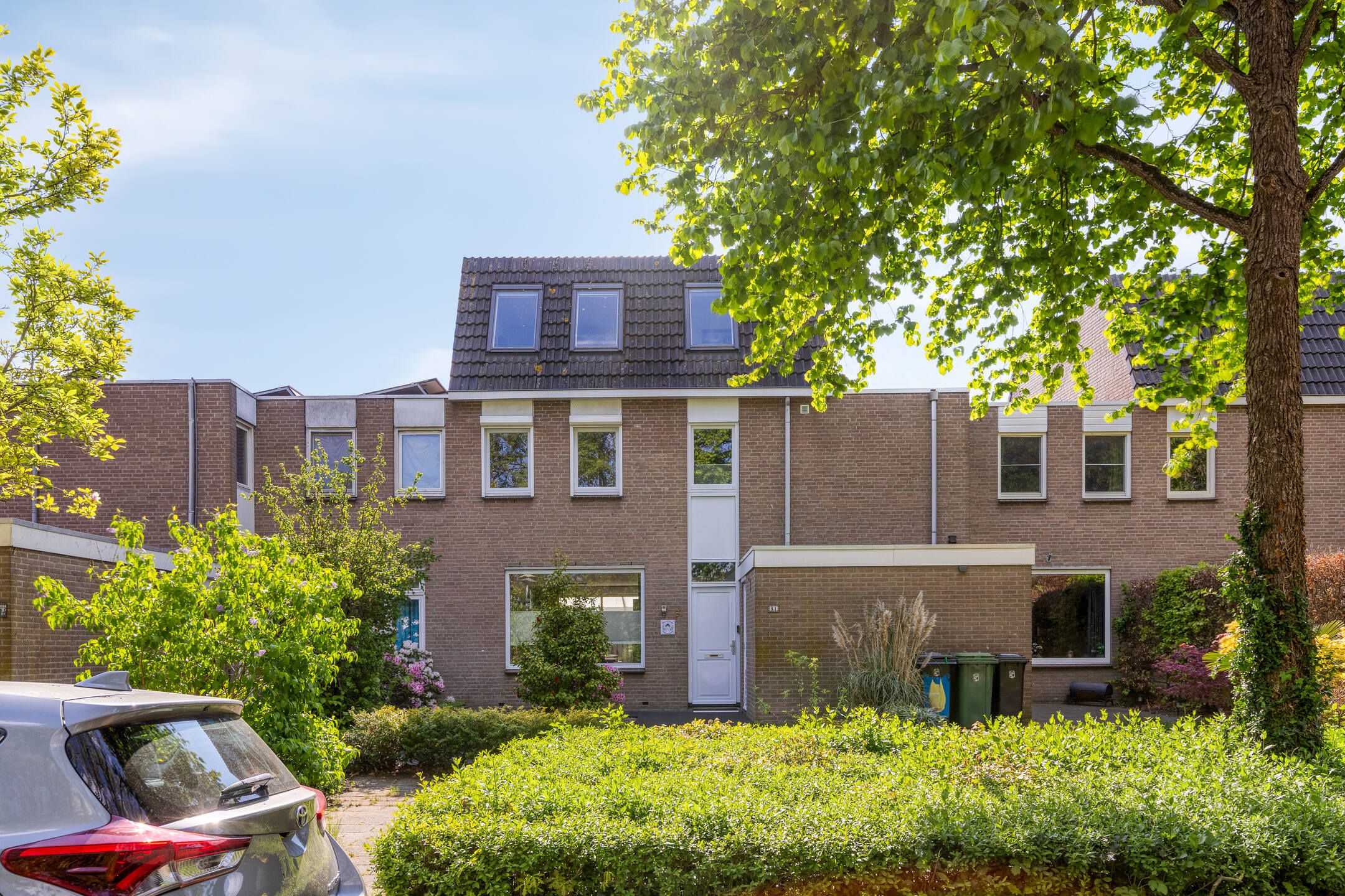 Foto 6 van Johan Frisopark 81