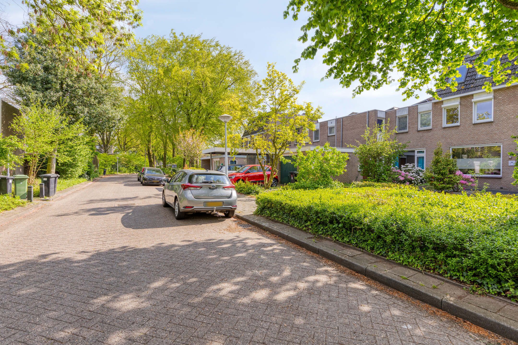 Foto 48 van Johan Frisopark 81