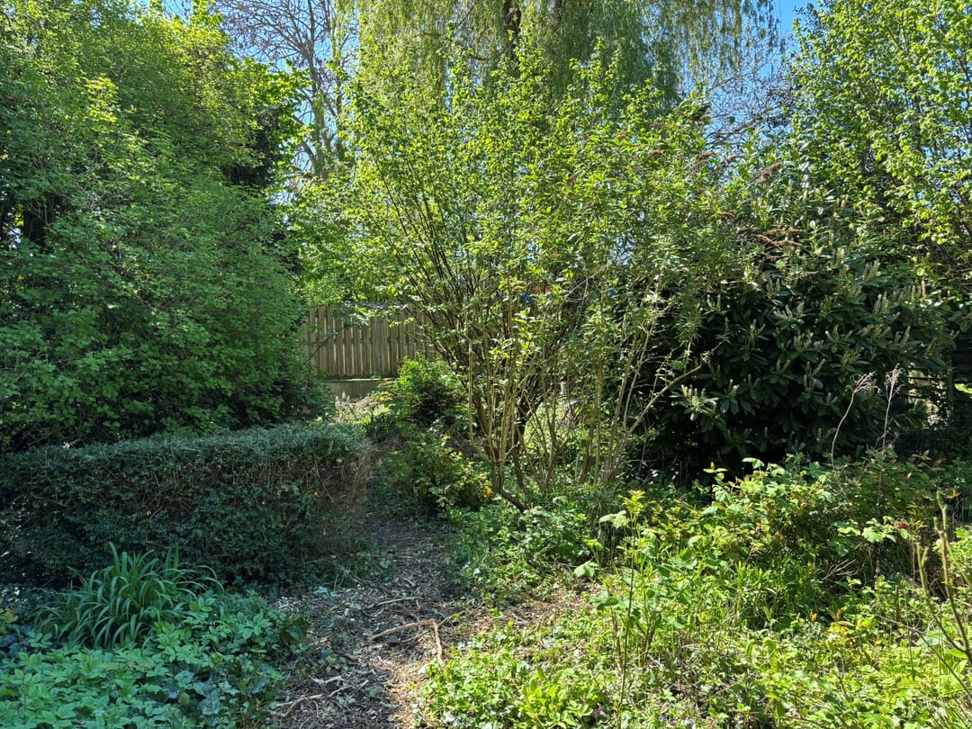 Foto 38 van Oude Kerkstraat 24