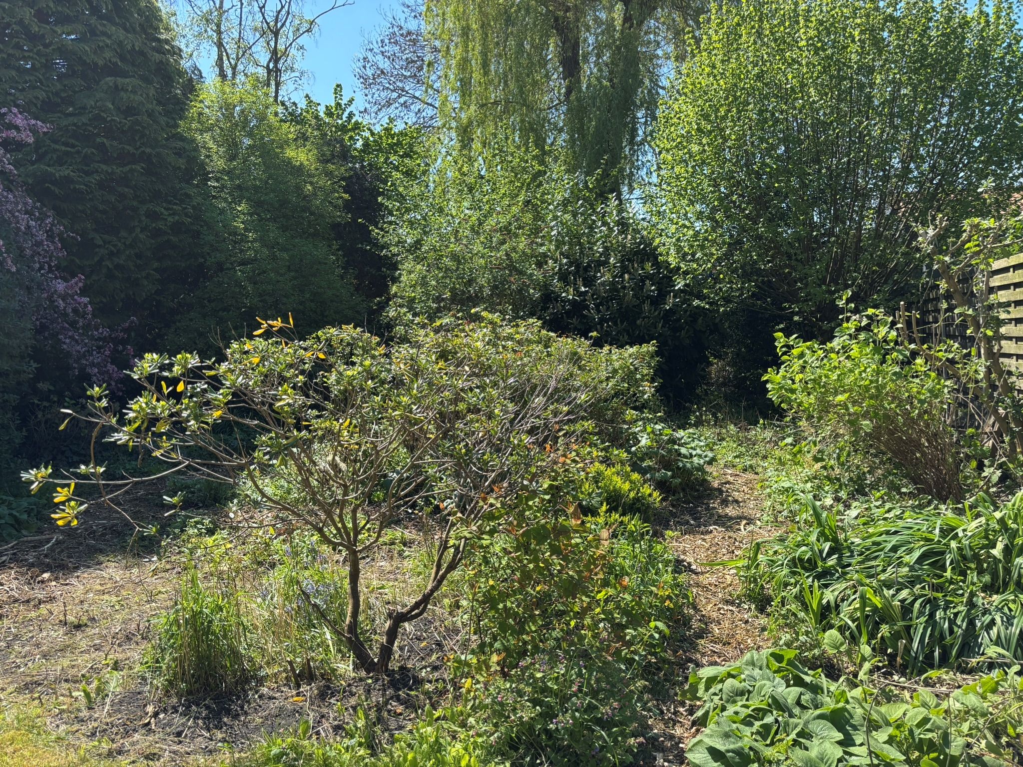 Foto 39 van Oude Kerkstraat 24