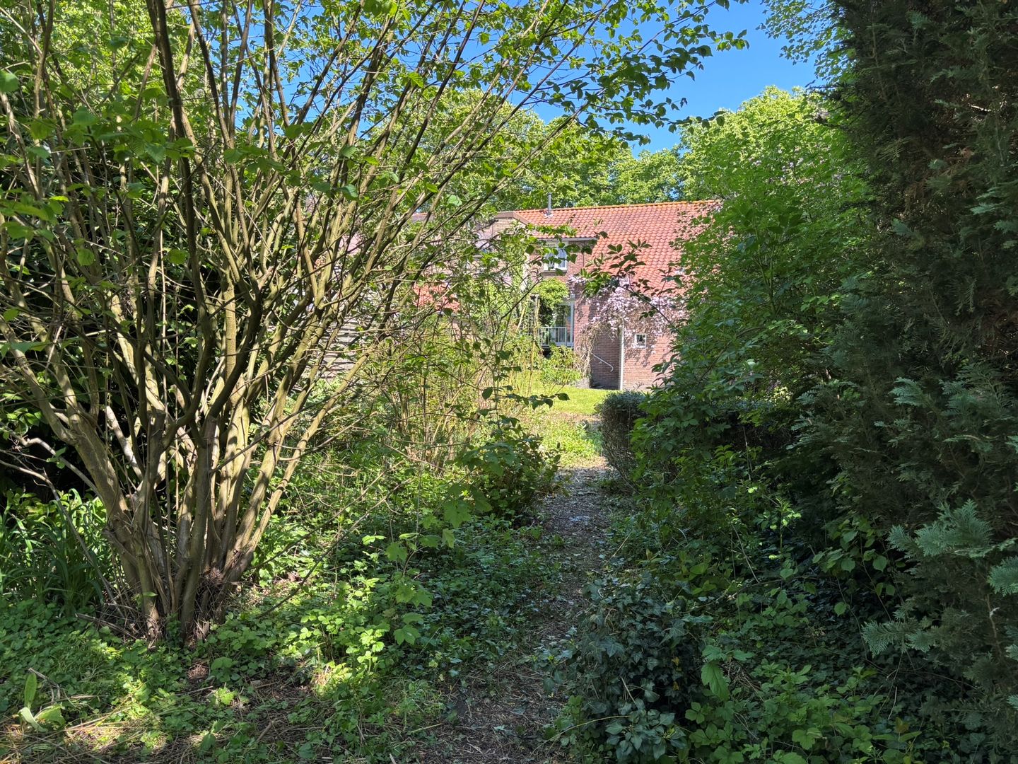 Foto 40 van Oude Kerkstraat 24