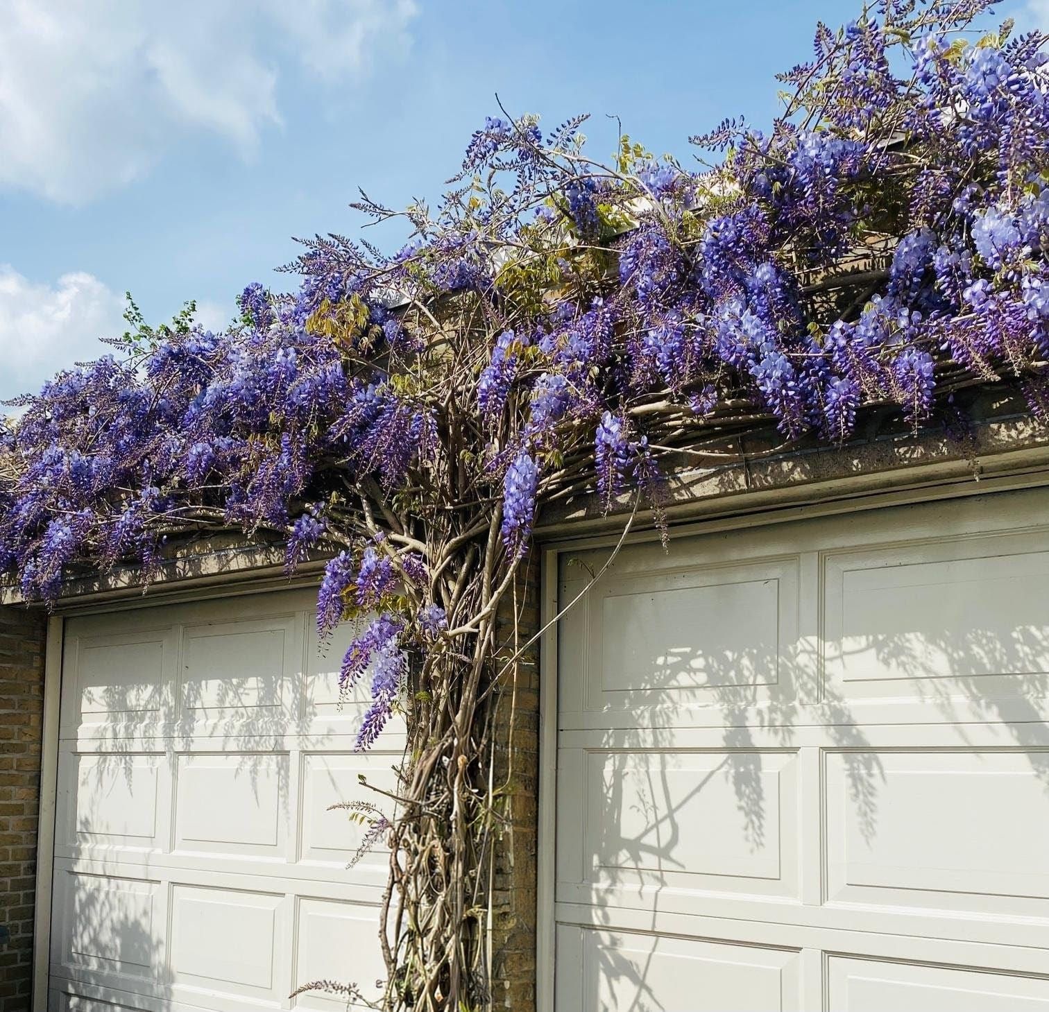 Foto 6 van Planetenweg 35