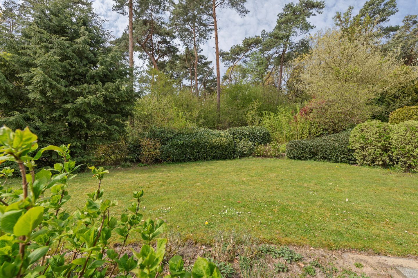 Photo 25 of Barteweg 15-27