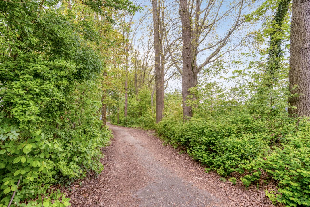 Foto 23 van Puntenburgerlaan 103